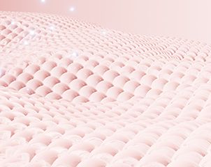 MPR 토르 4단계 — 점진적 리모델링
